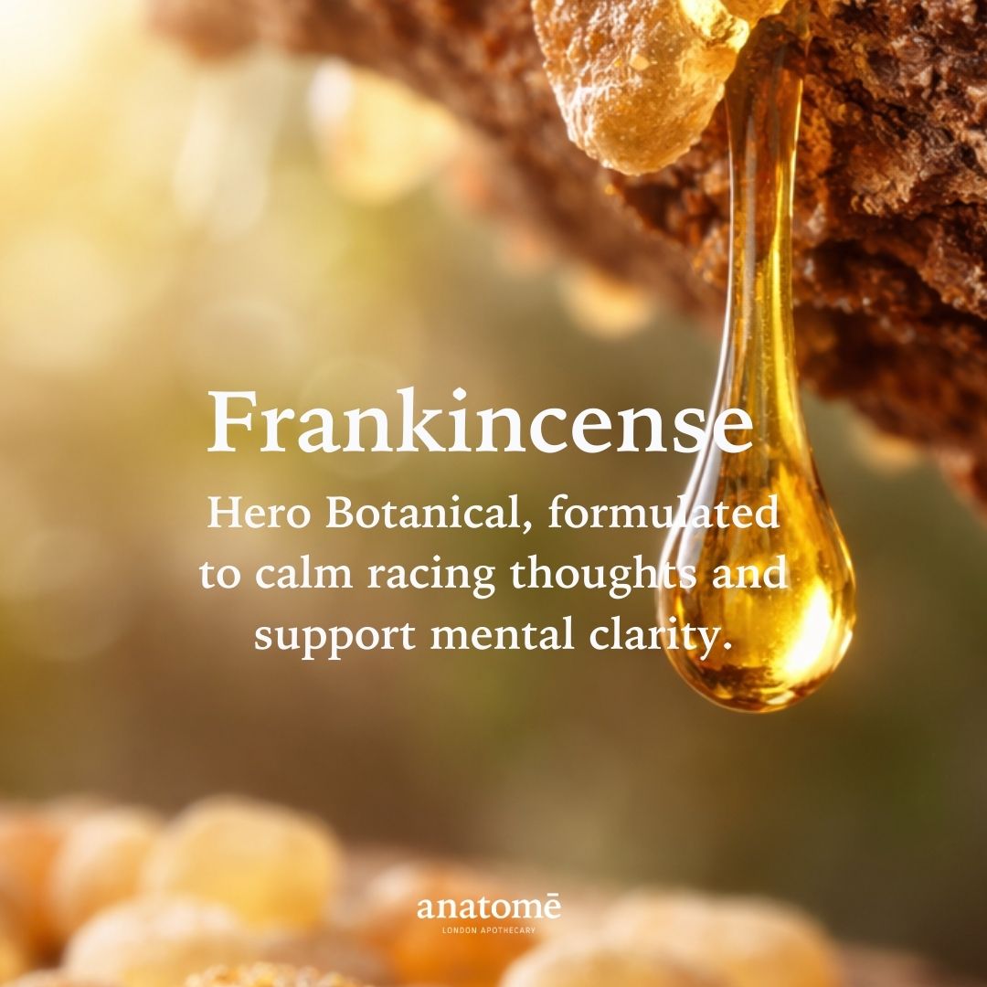 Overactive Mind Sleep Oil & Sleep Supplement – Somali Frankincense - anatomē