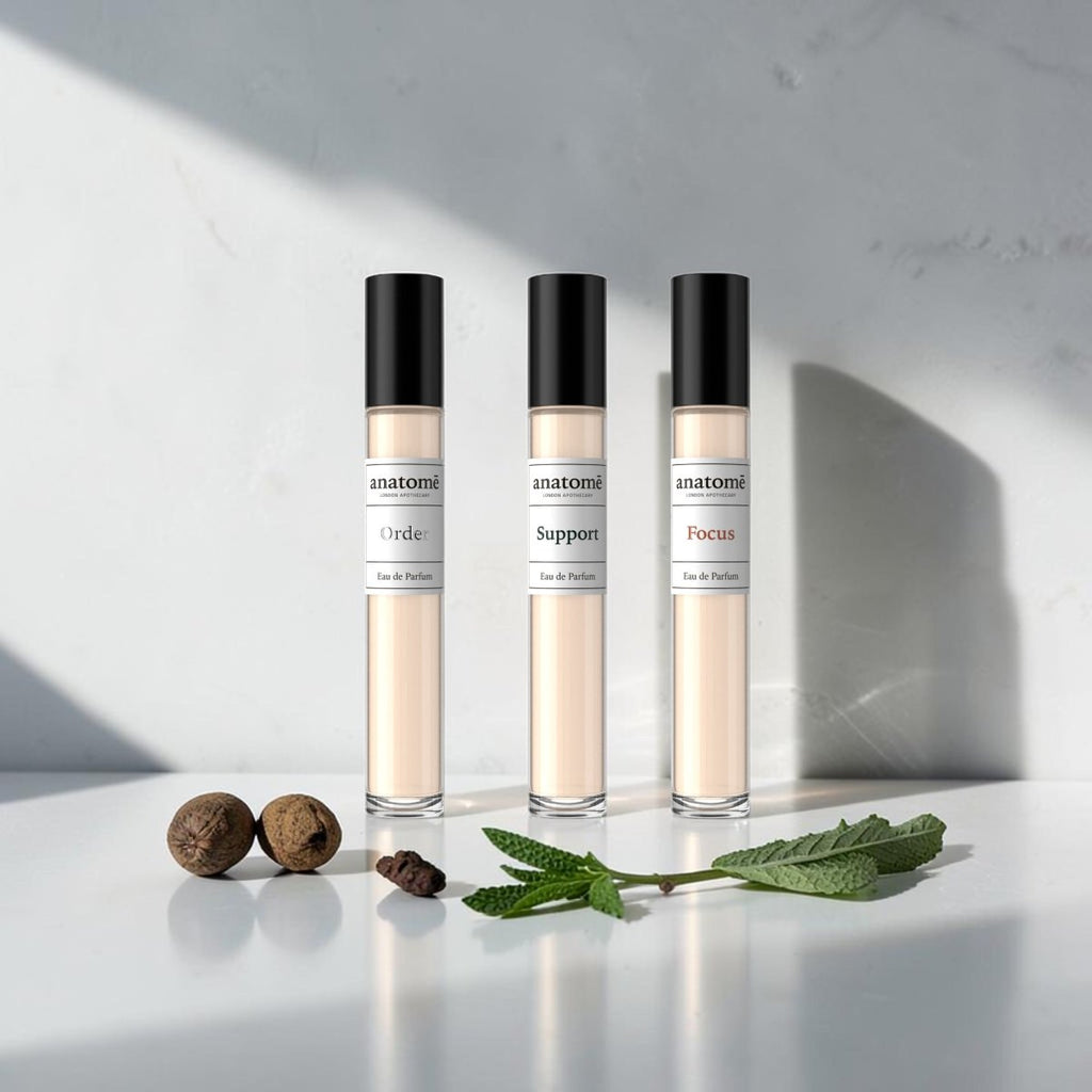 Parfum Travel Discovery Set Focus Support Order