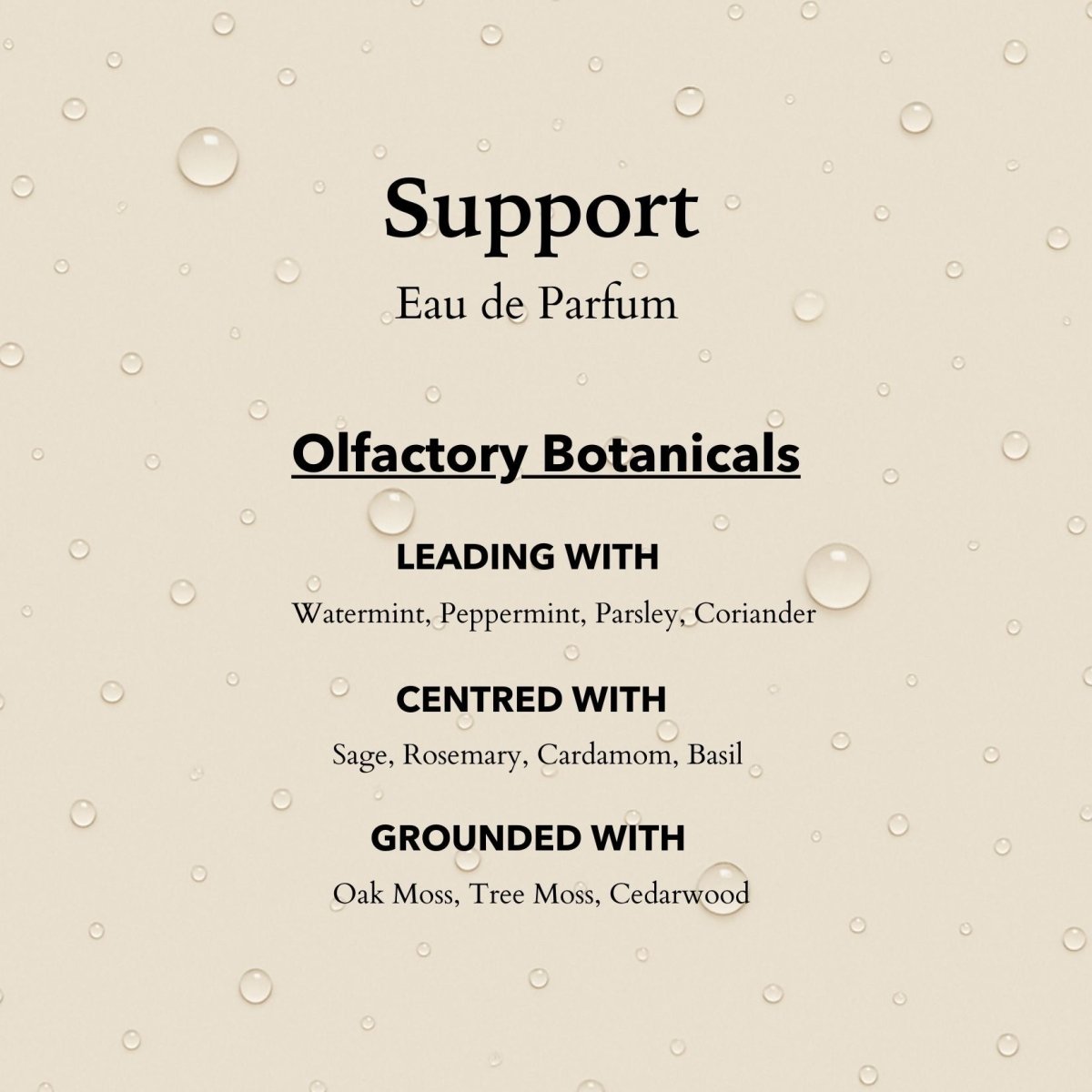 Support Functional Parfum 10ml - anatomē