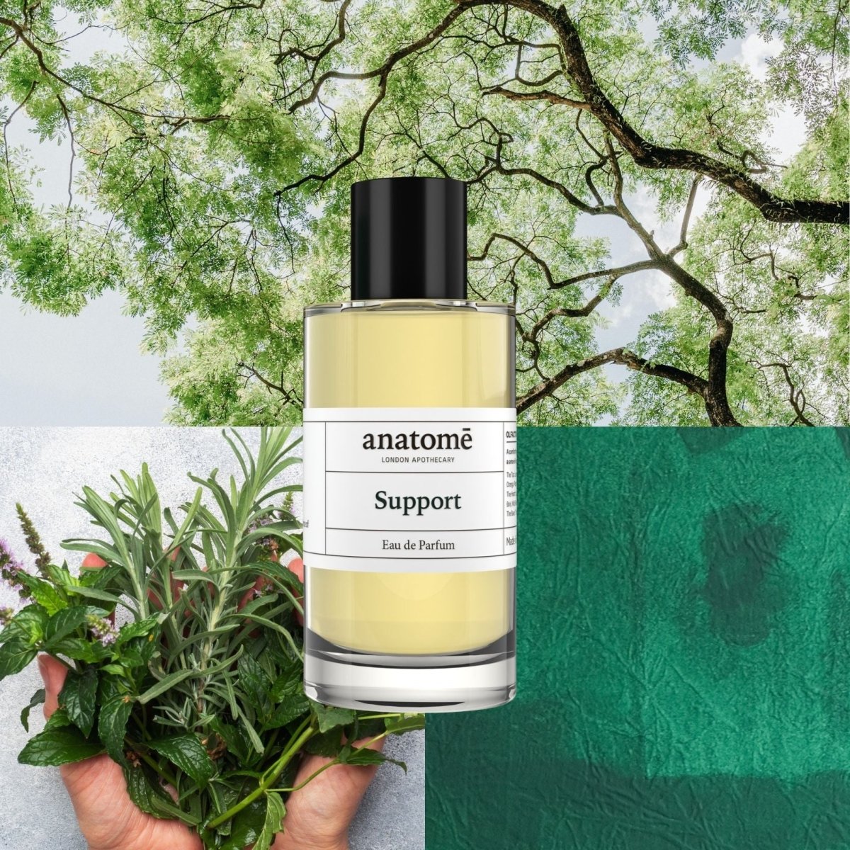 Support Functional Parfum 10ml - anatomē