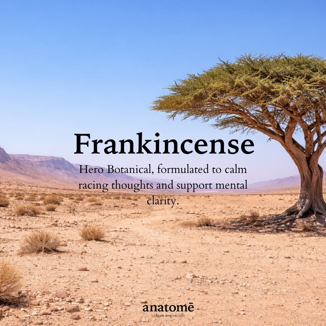 The Gift of Good Sleep | Somali Frankincense - anatomē