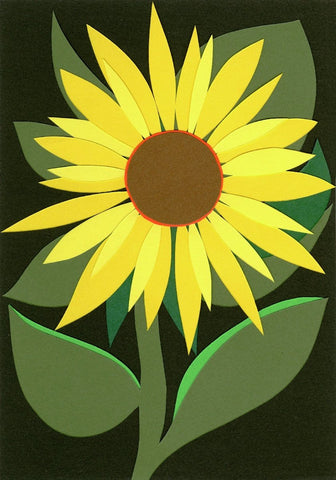 Miranda Sinclair Seed Card - Sunflower - anatomē