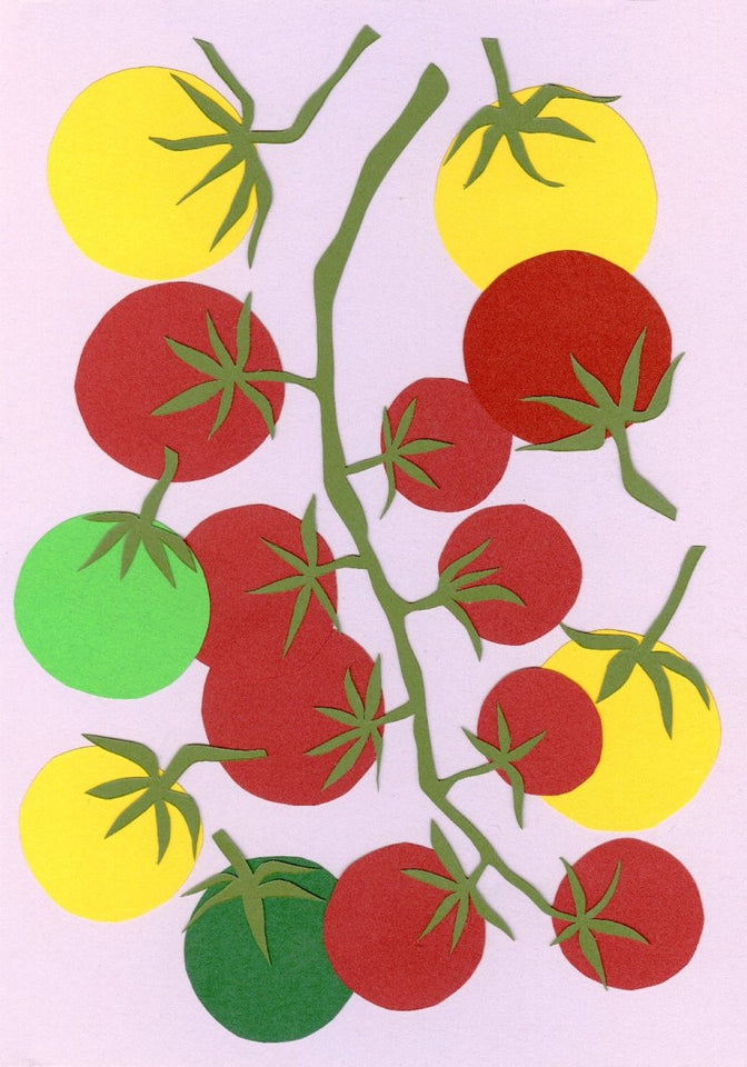 Miranda Sinclair Seed Card - Tomatoes - anatomē